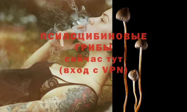 прущие грибы Армянск