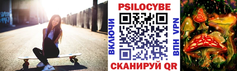 где найти   Ревда  Галлюциногенные грибы Psilocybine cubensis 